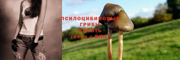 бутират Алексин