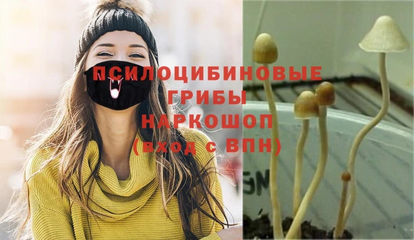 дмт Сосновка
