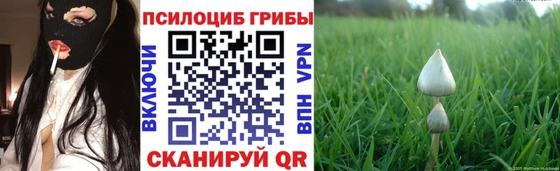 Галлюциногенные грибы мицелий  Купить закладки  Валуйки 